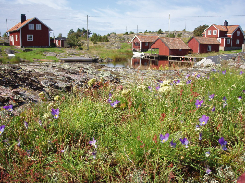 Städsholmen