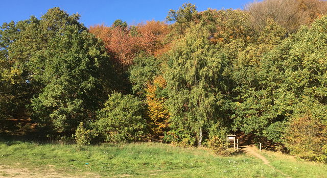 Hällestadsåsen-Borelund, Naturreservat