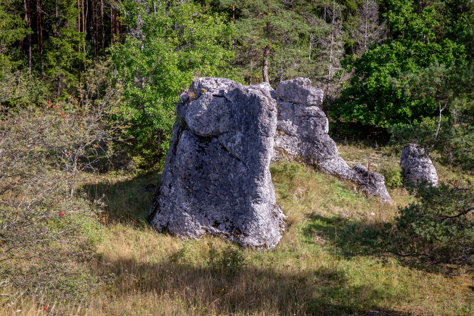 Stenformation i skogsmiljö