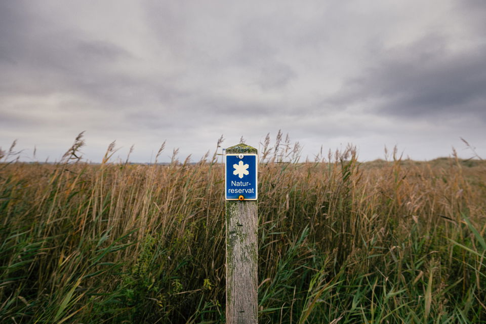 Vandringsslingan tar dig genom naturreservat.