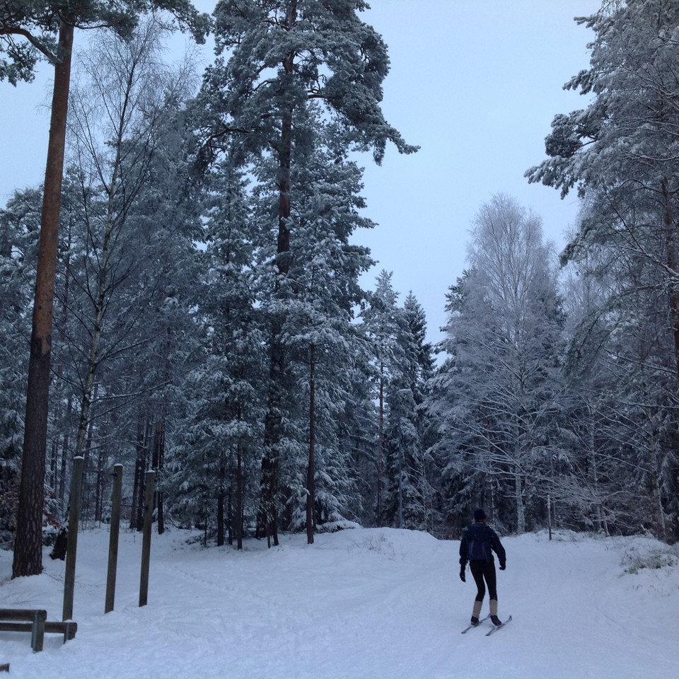 Skidspår vintertid