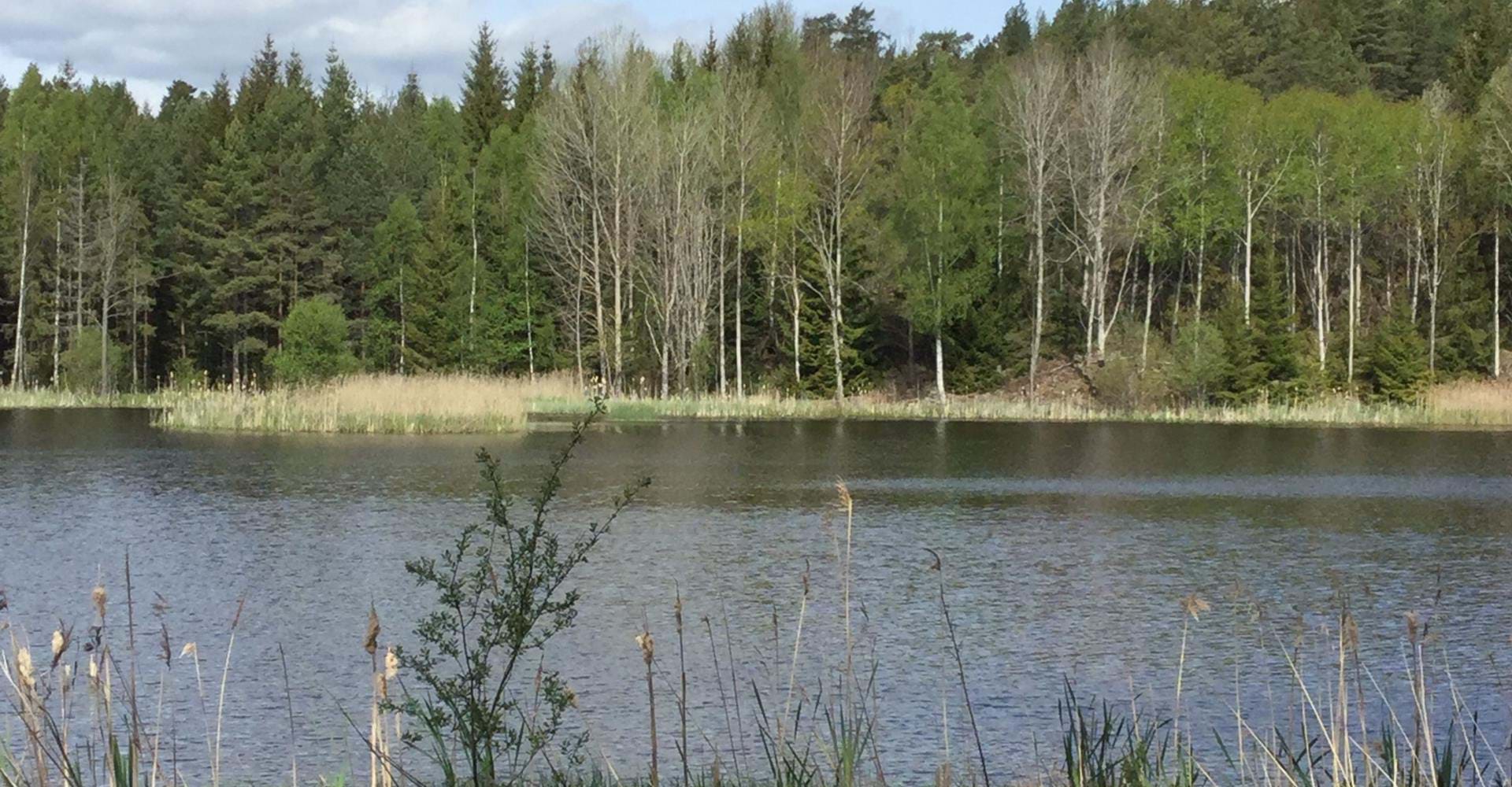 Trasken runt
Söderköping