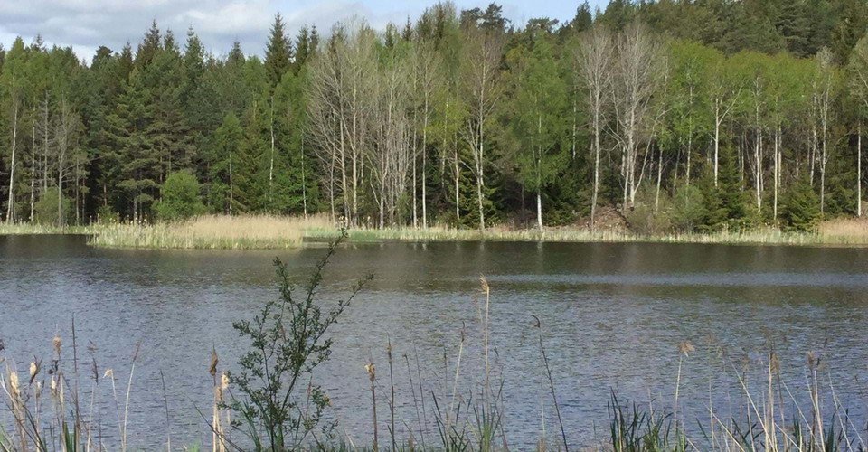 Trasken runt
Söderköping