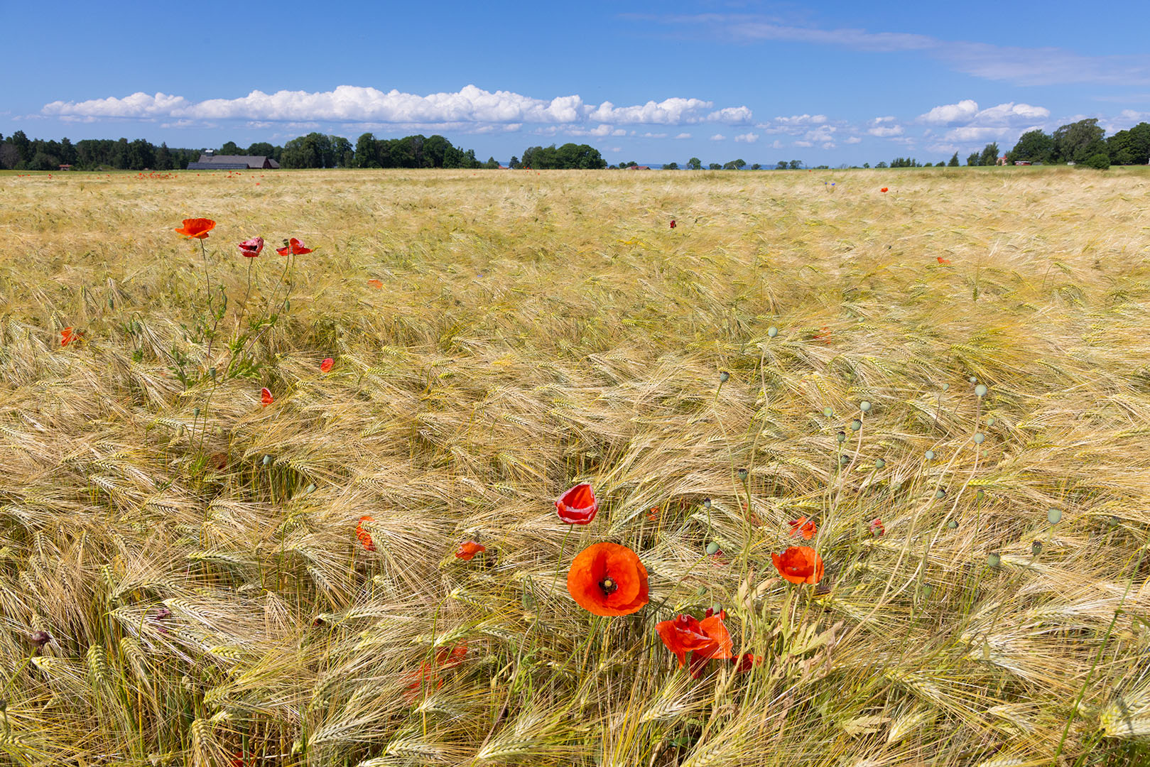 Örberga - Vadstena, Östgötaleden