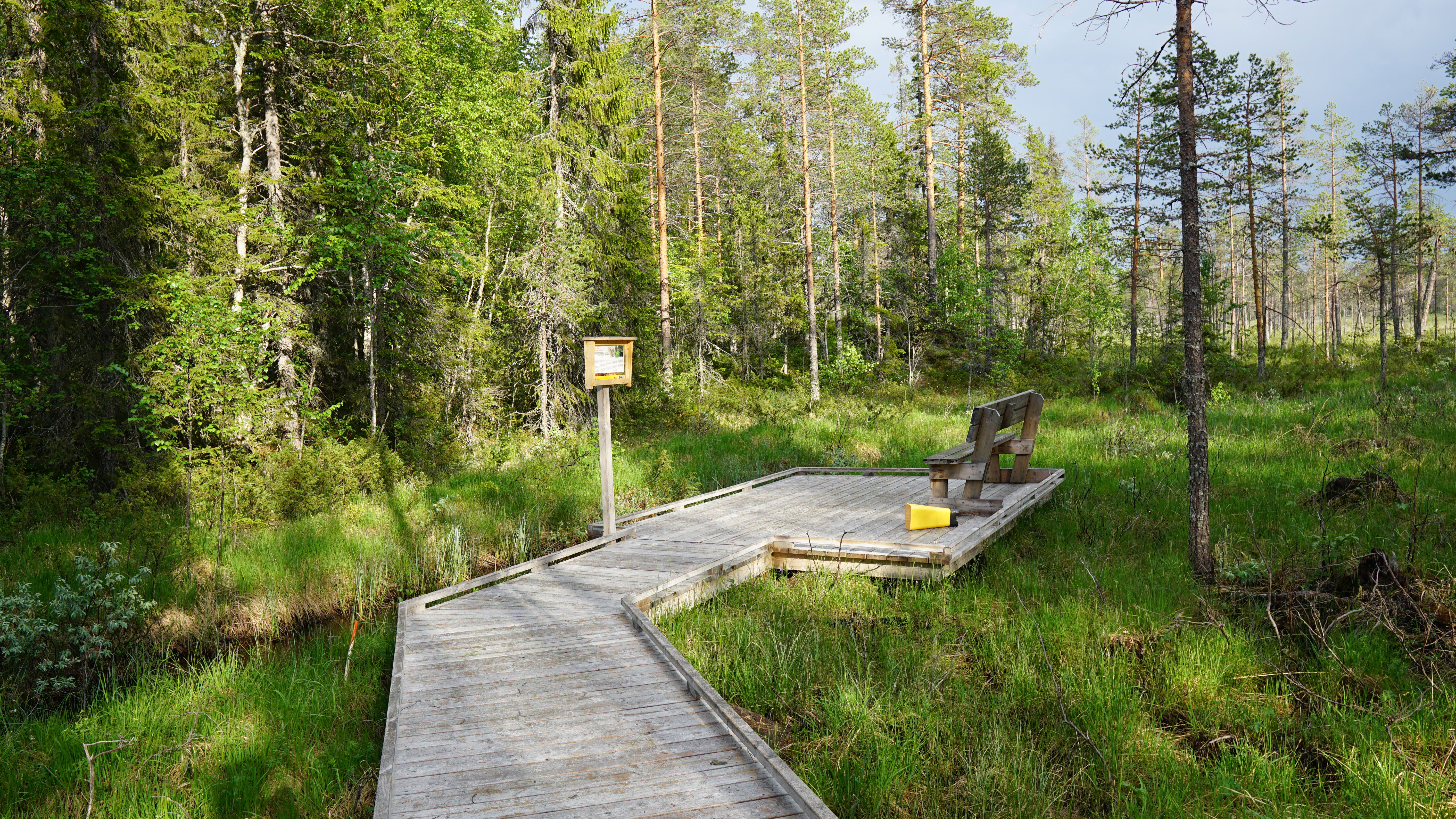 Jämtgaveln promenadslinga