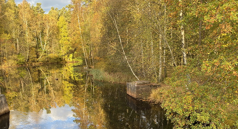 Prästaskogen i höstskrud