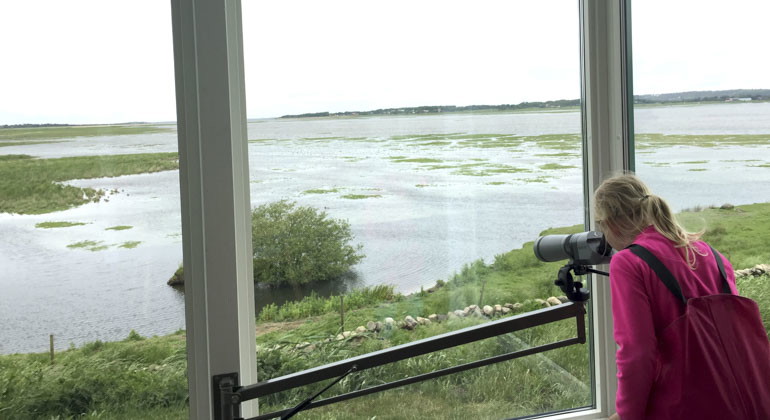 Kvinna står och fågelskådar med kikare 
