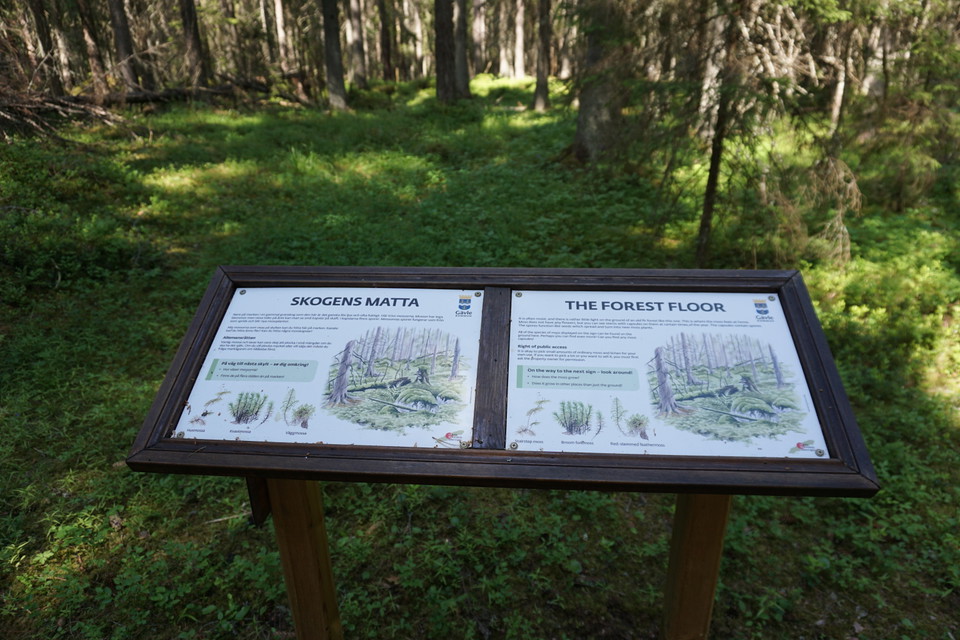 Naturstigen i Hemlingby
