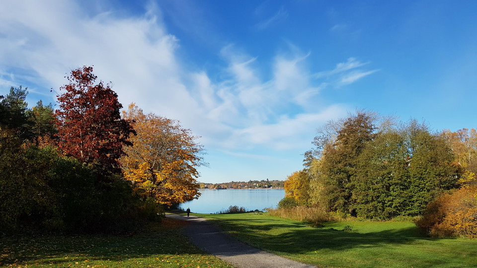 Lidingöloppsspåret med utsikt mot Stora Värtan. Foto Lidingö stad