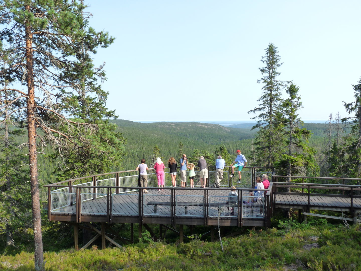 Utsiktsplattformen är stor och har bänkar. Foto: Johan Uebel, Länsstyrelsen