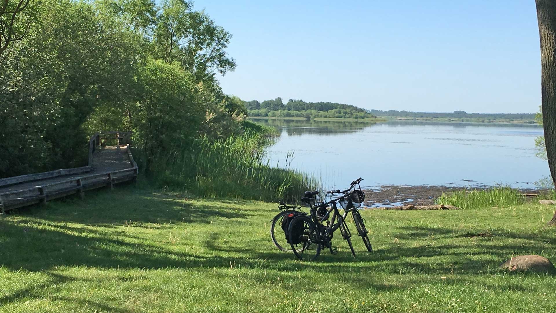 En cykel står parkerad på gräset som sträcker sig ner till Hammarsjöns vatten. 