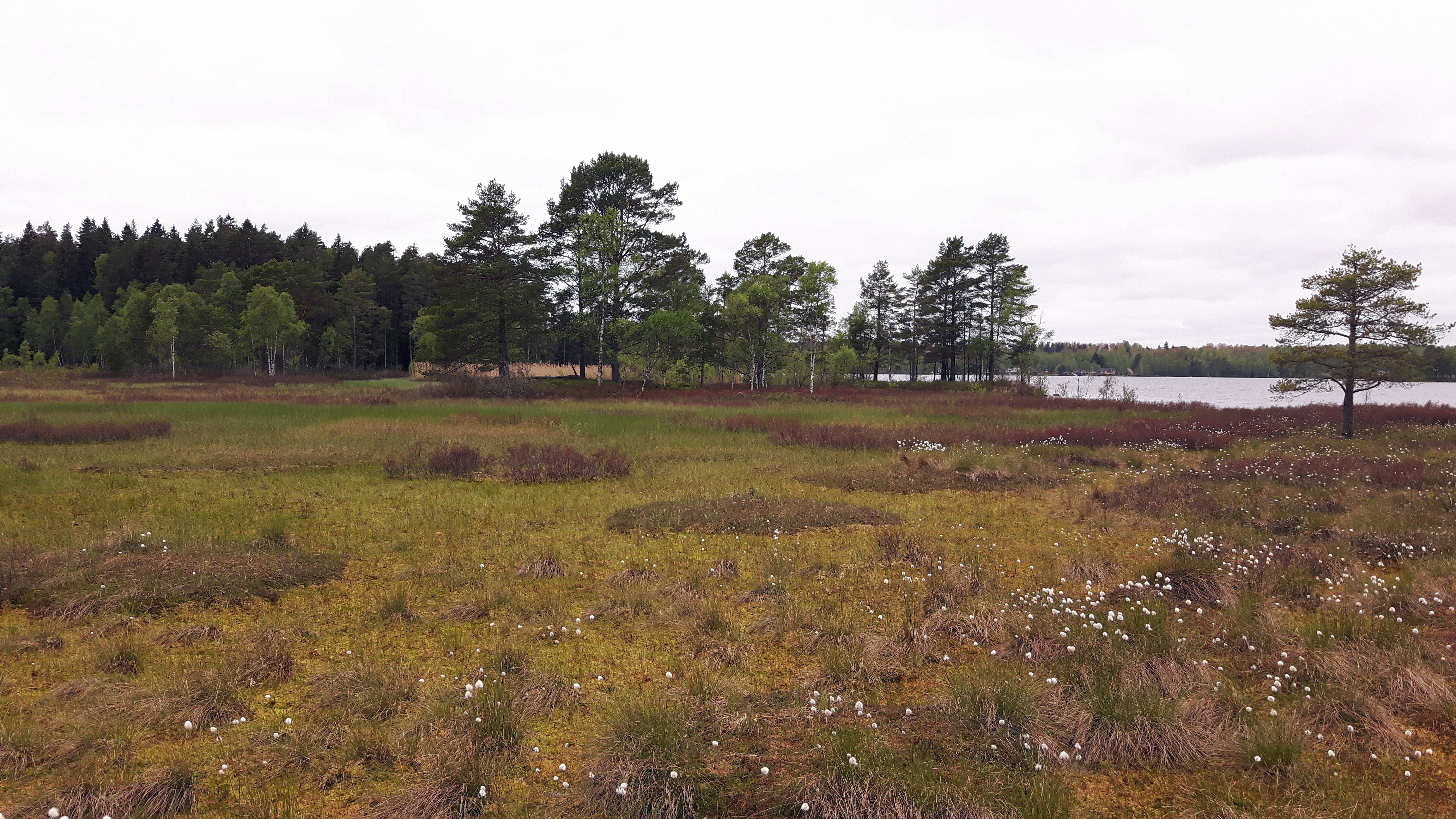 Öudden, Borasjön — Naturkartan