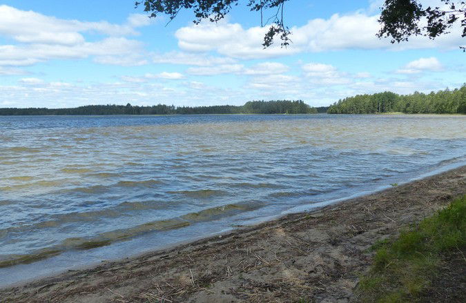 Populära Älgsjön värms snabbt upp tack vare att den är mycket långgrund.