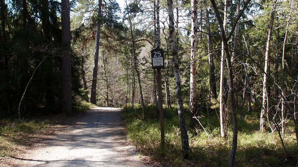 Blandskog söder om Ekholmsnässjön 5 km in i Lidingöloppet. Foto Lidingö stad