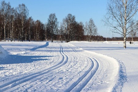 Björknäs elljusspår grön, 7,0 km