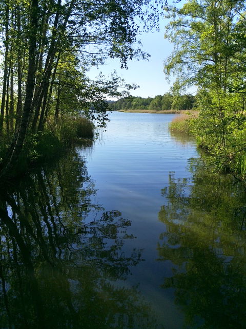 Ältaån vid Ältasjön