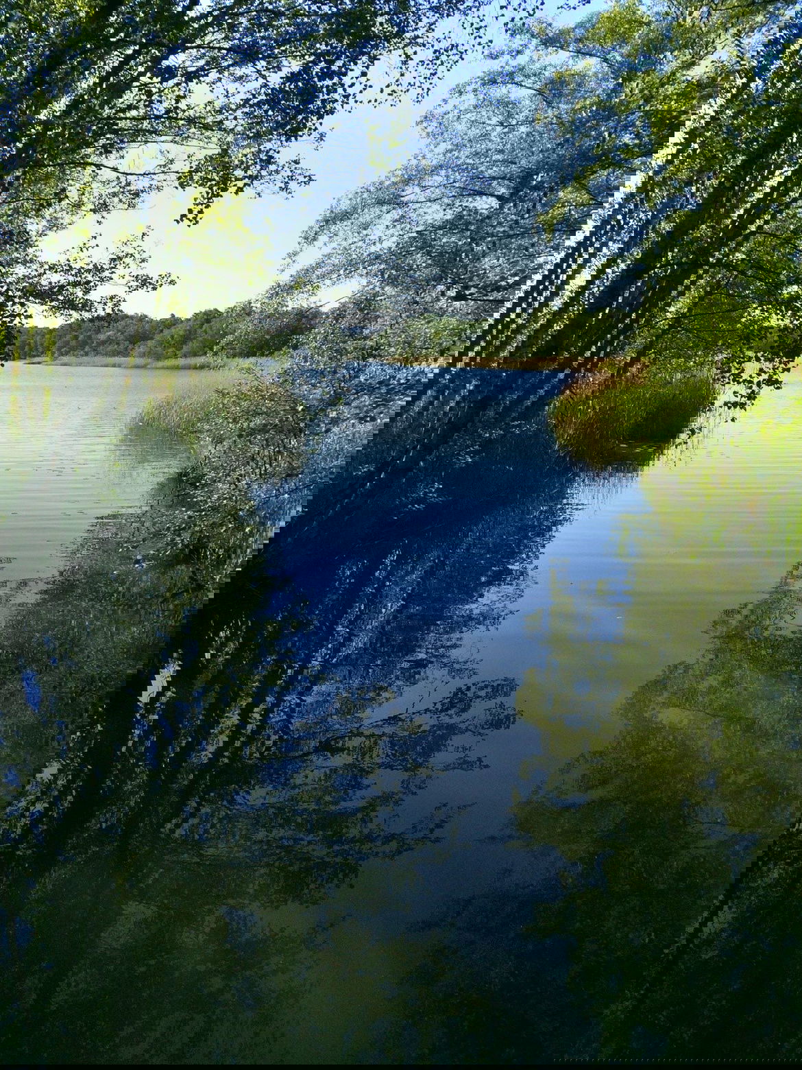 Ältaån vid Ältasjön