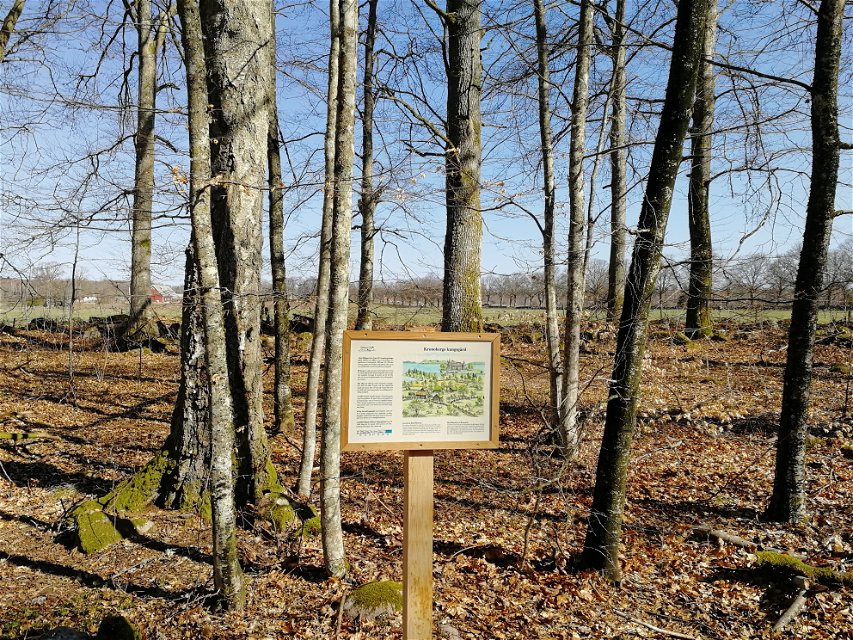 Utblick mot Kronobergs kungsgård