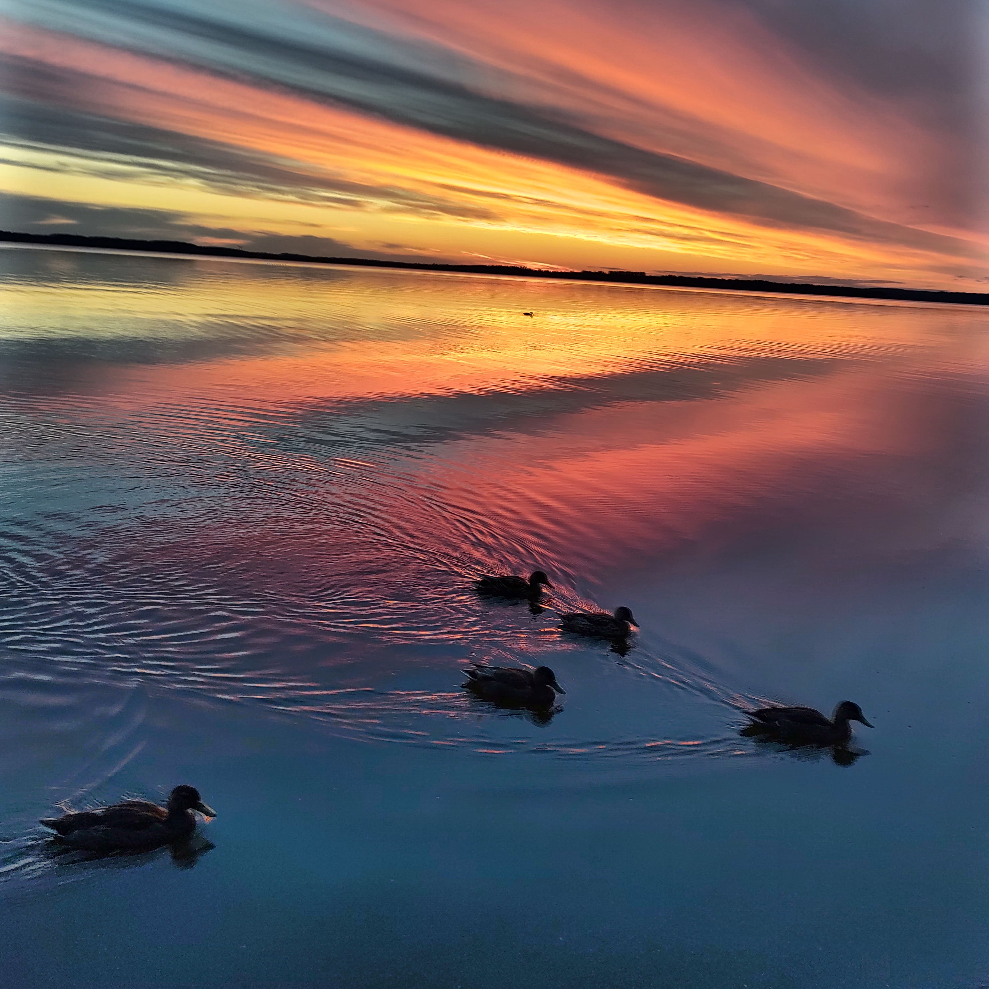 Fotoutställning Med kärlek till vatten - se alla utvalda bidrag