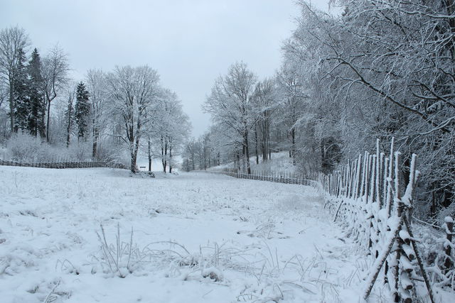 Staffanstorp Nature Reserve