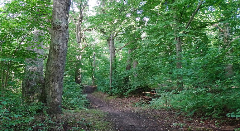 Belyst motionsslinga.