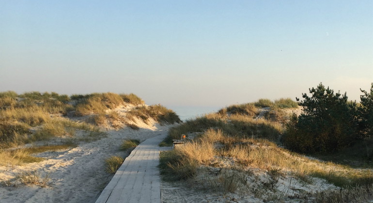 Spång ned mot havet.
