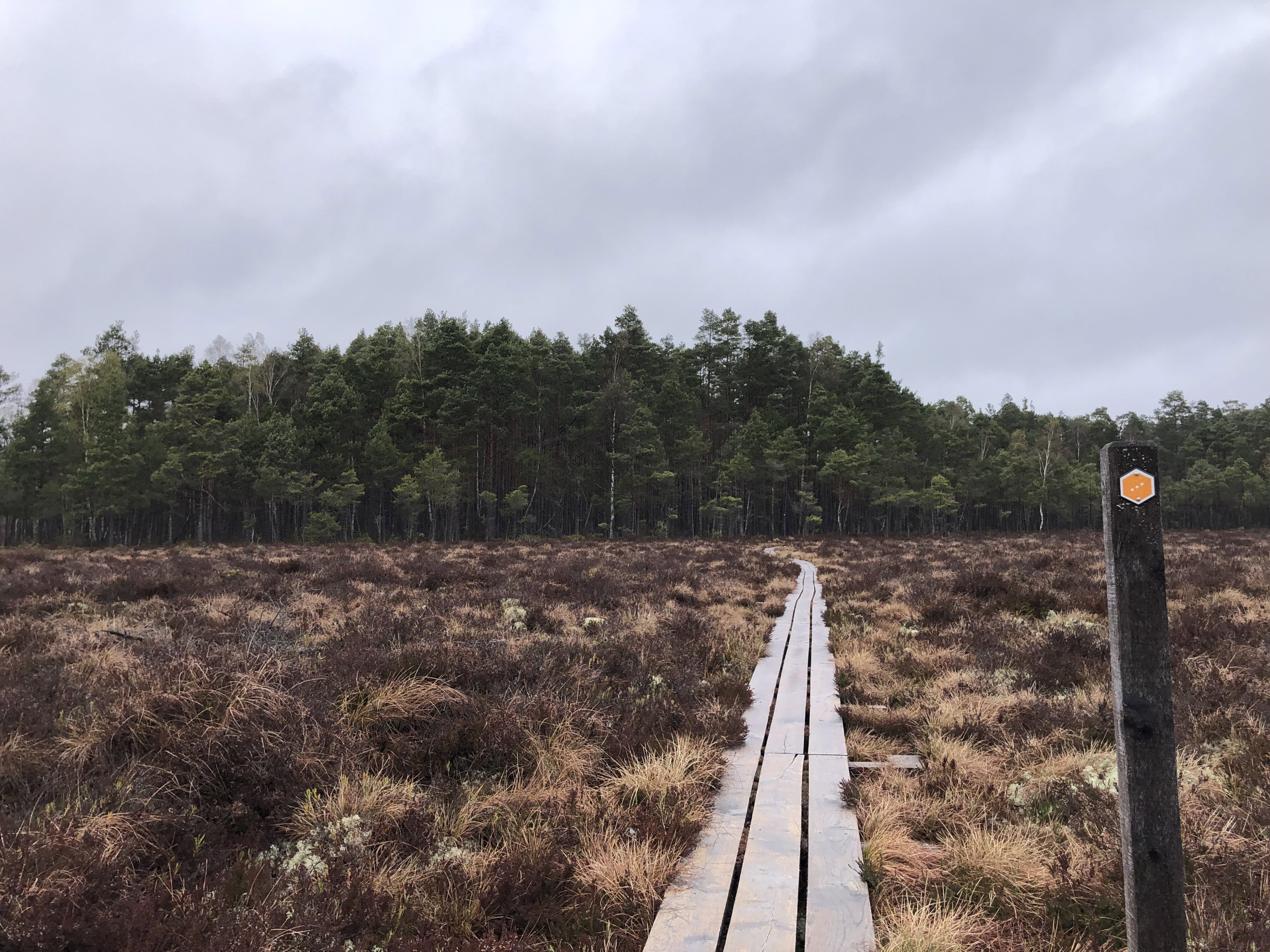 Toftåsa myr vandringsled, Åsnens nationalpark — Naturkartan