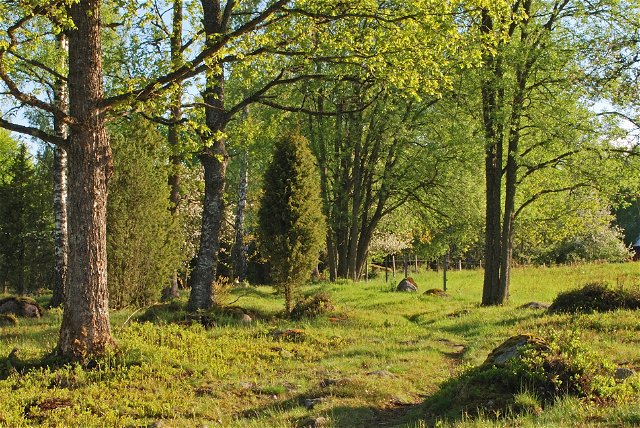 Gårdsby och Hemmesjö Bökeskogs naturreservat