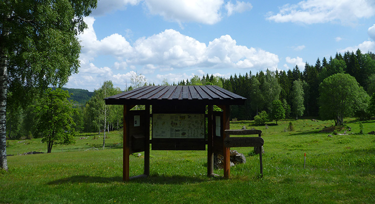 Utsikt över ängen. Foto Dan Mangsbo.