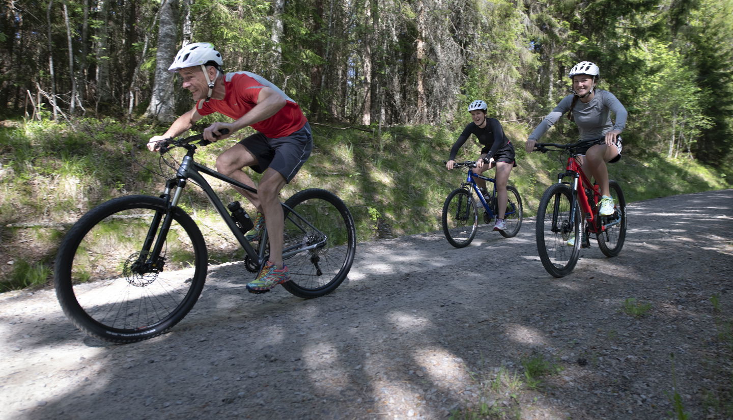 Tre personer som cyklar på en grusväg i skogen