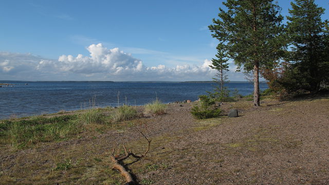 Kallfjärden