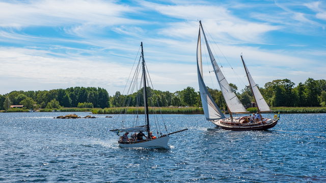 Segelled avstickare Tromtö naturreservat Tromtö nabb