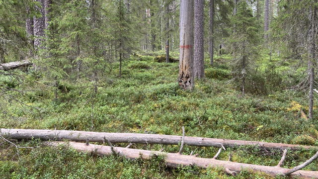 Mellersta Hällberget