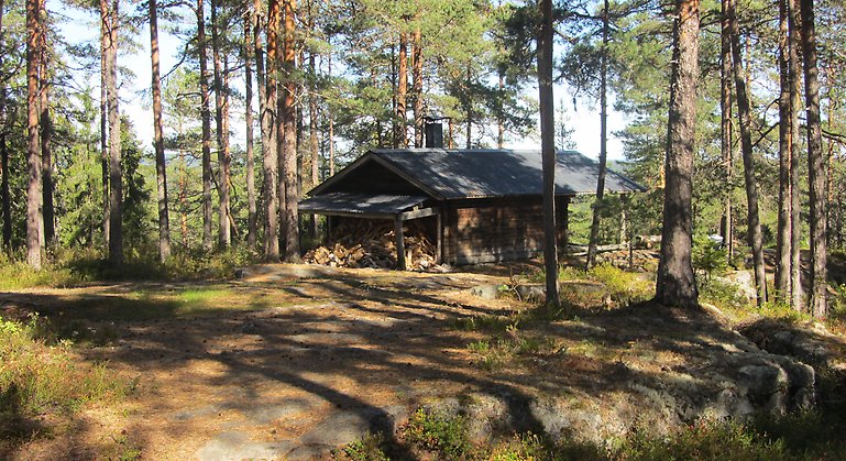 Västerhällarna är ett populärt friluftsområde med många välanvända stigar. Foto Länsstyrelsen Gävleborg