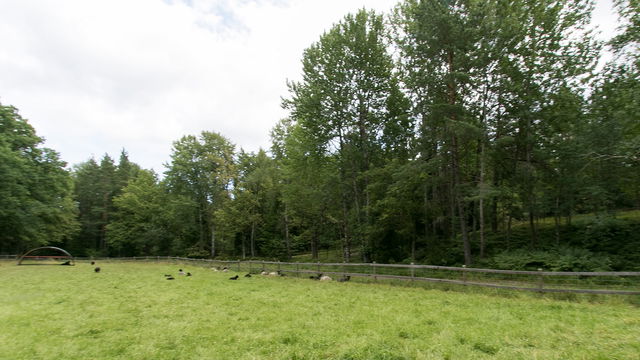Storvreten