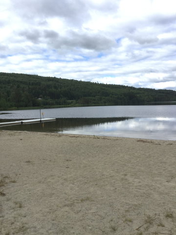 Pallviken