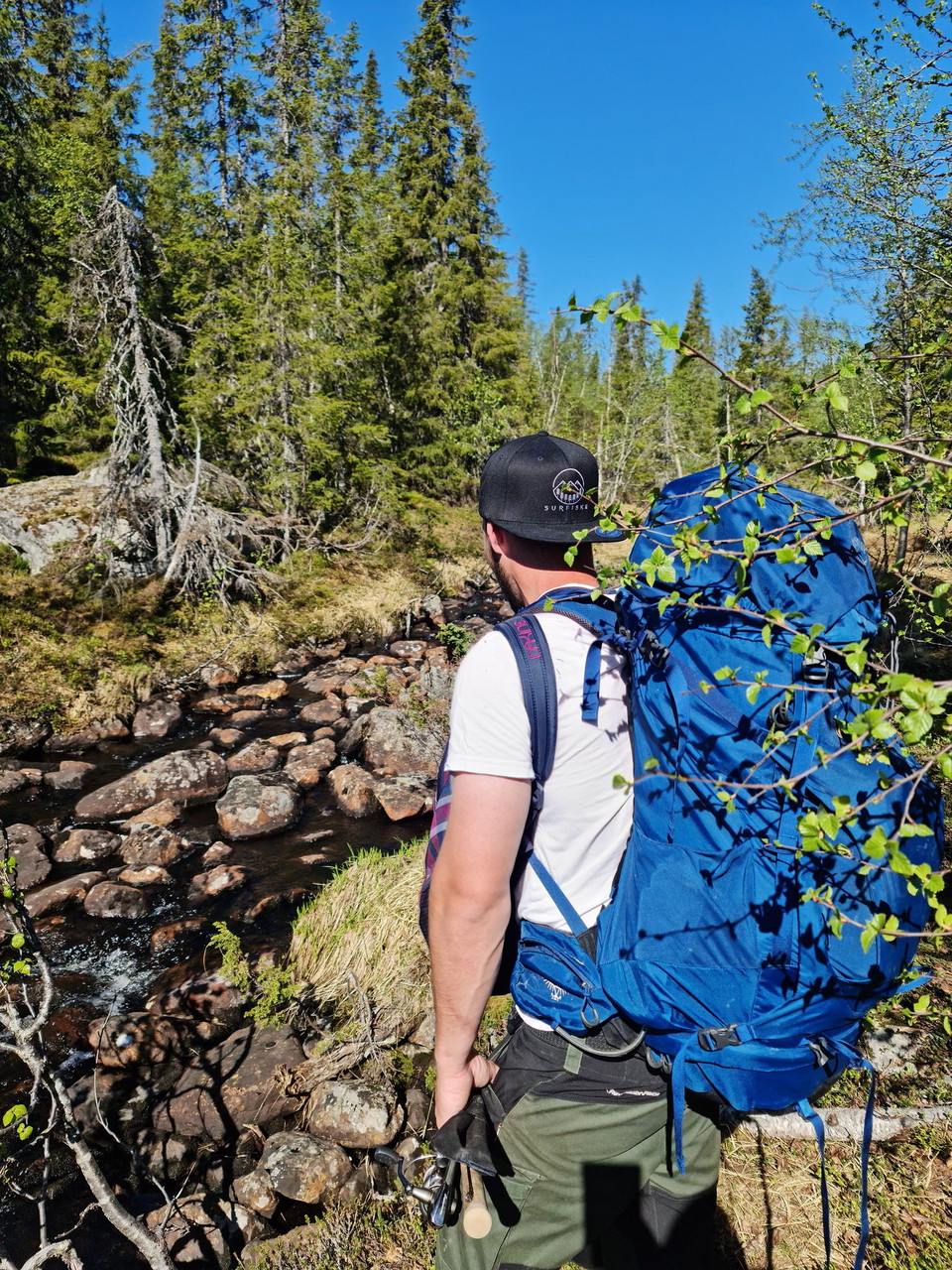 Vandring i omgivningen.