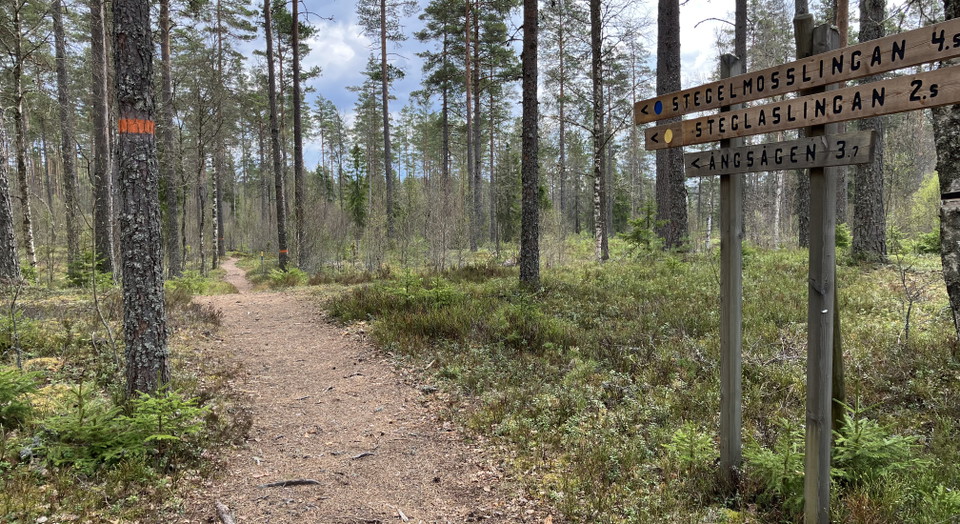 Vid Kittelfältet finns flera slingor att välja på .