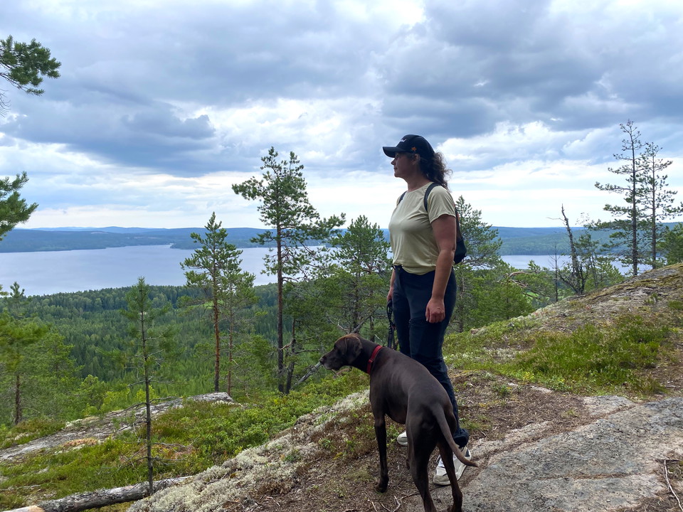 Utsikt från Klätterledens topp