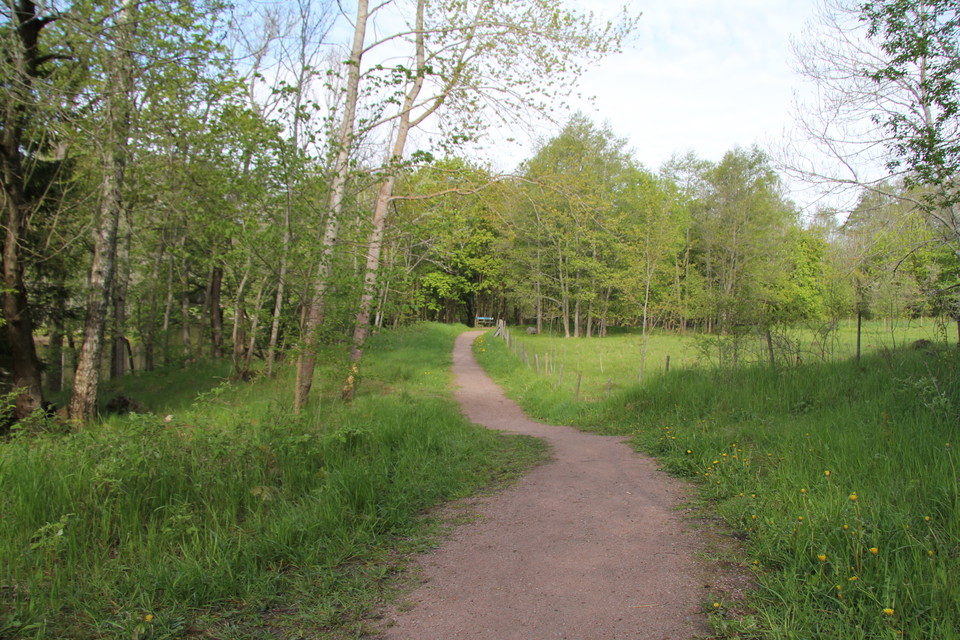Grusad stig som går mellan skog och en hage.