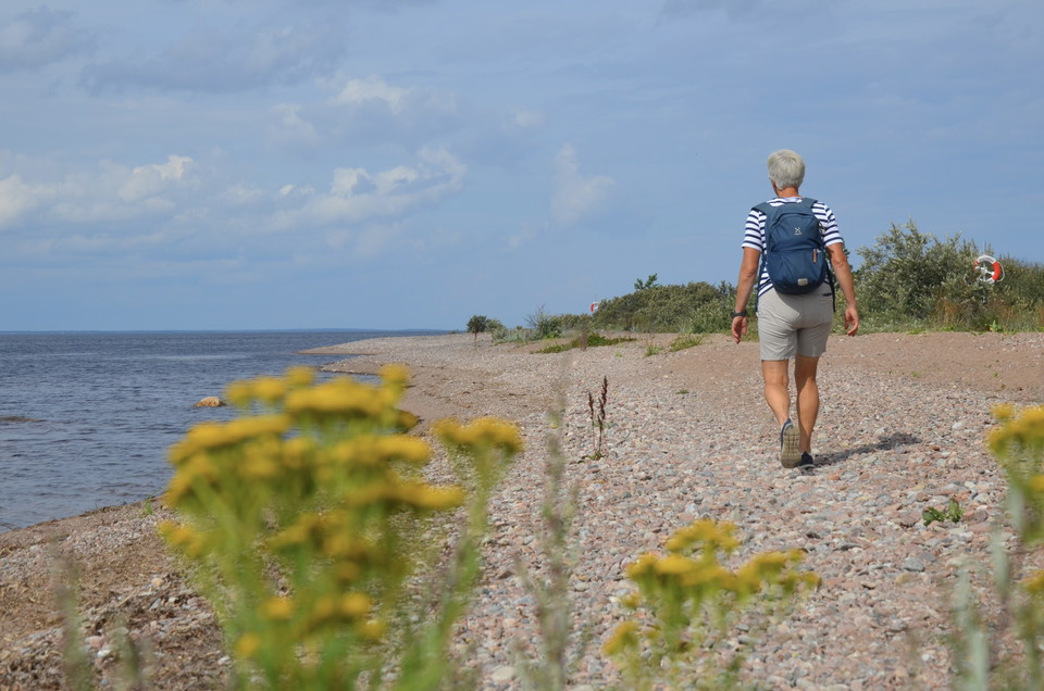 Billuddens naturreservat