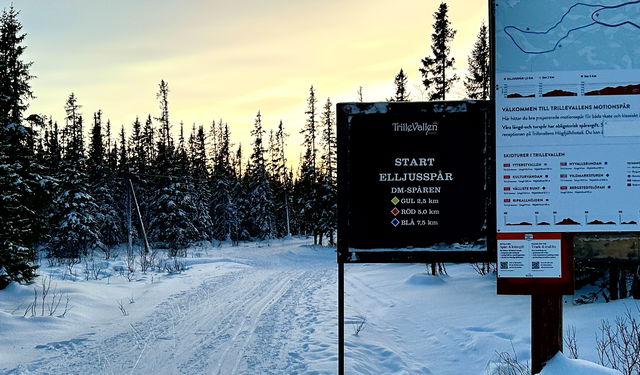 DM-spåret 5 km (längdspår, Trillevallen)
