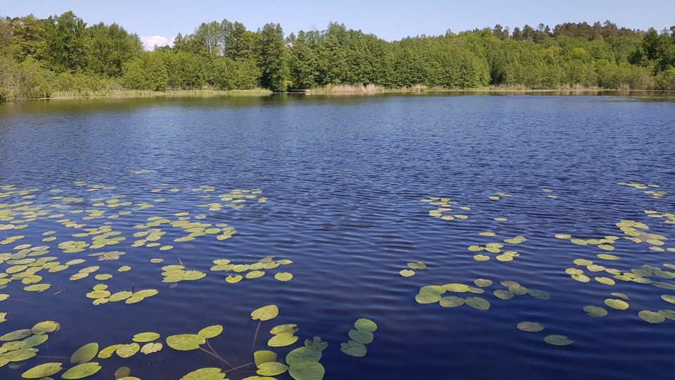Stockbysjön från västra stranden. Foto Lidingö stad