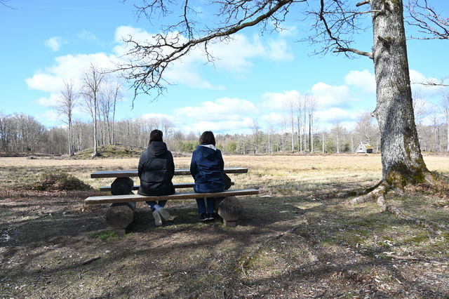 Bänkbord, Söderhagen och Utmarken