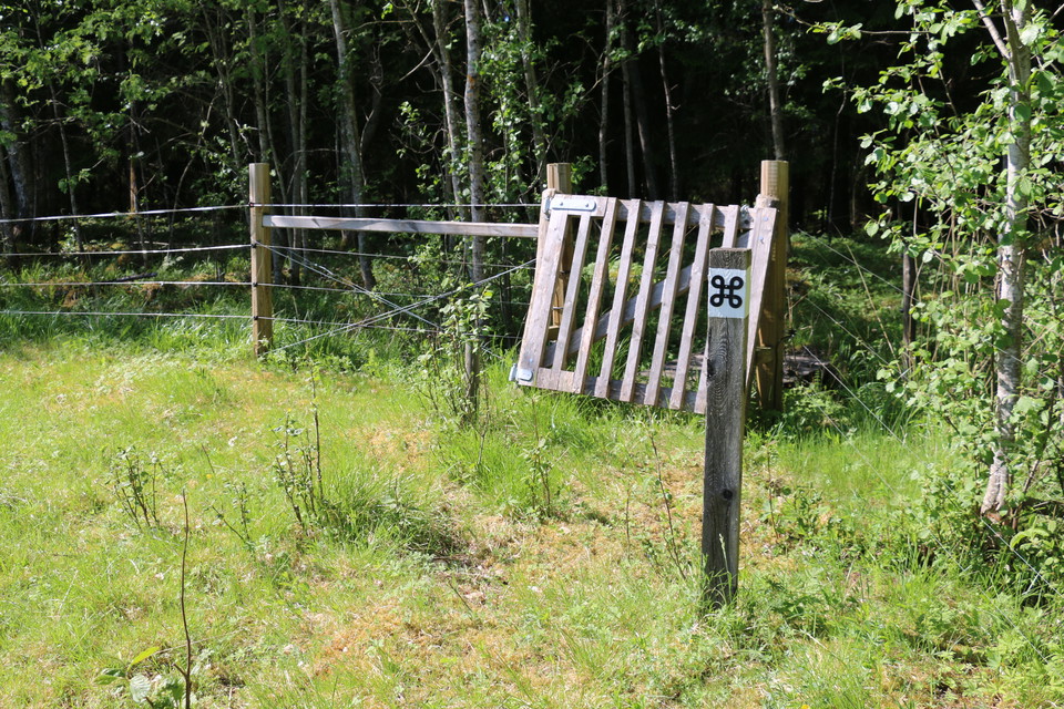 En trägrind, ett stängsel, en stolpe med vit ledmarkering med en svart kringla på.