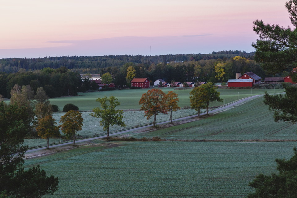 Foto: Josefine Karlsson