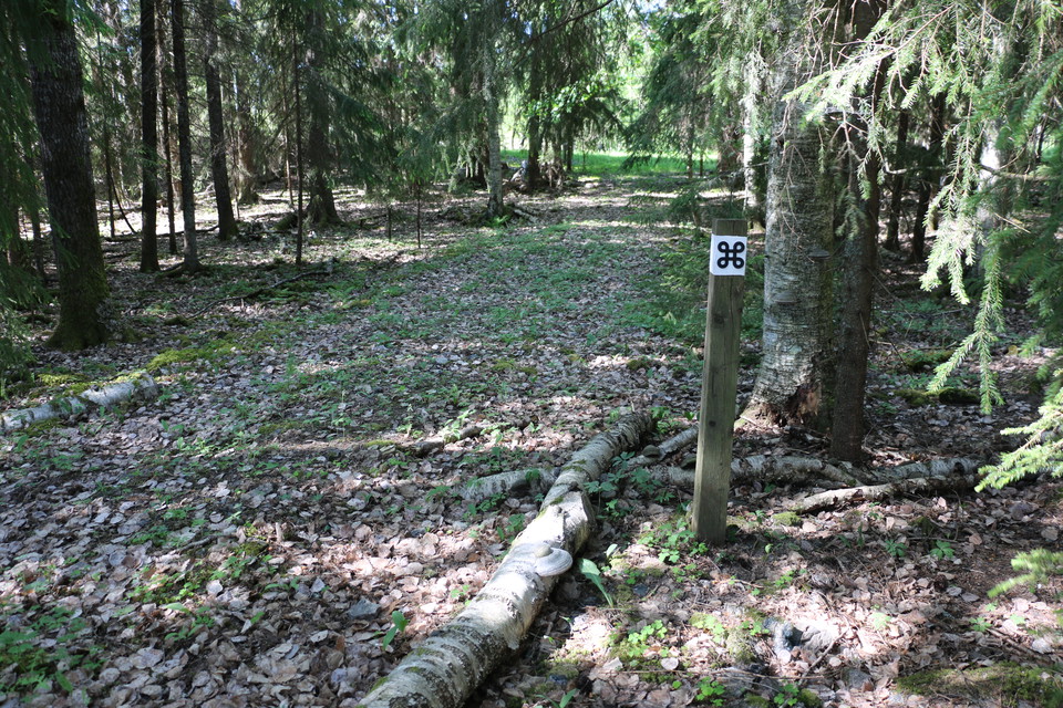 En stolpe med vit ledmarkering med en svart kringla på, i skogsmark.