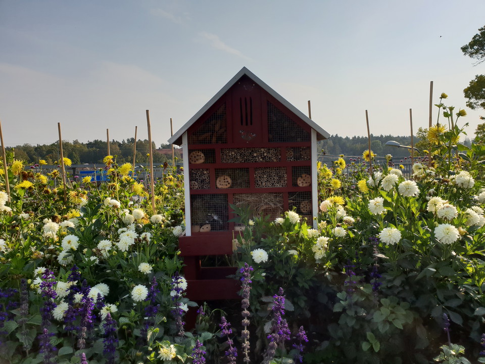 Insektshotell i parken