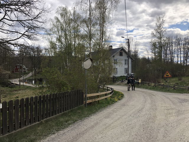 6. Hjorteström