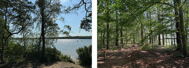 Färskesjön är en lugn plats med klart vatten och omgivande tall- och lövskog.